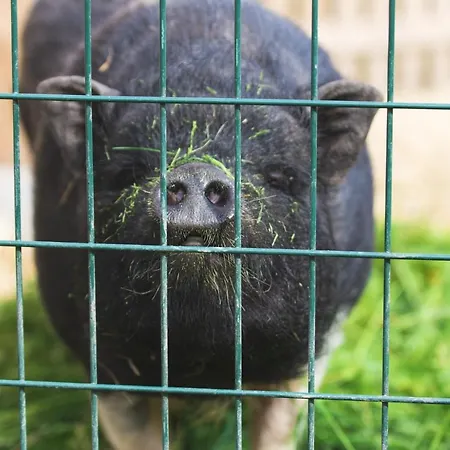 Elegante A Ottonville Avec Piscine Privee. Villa