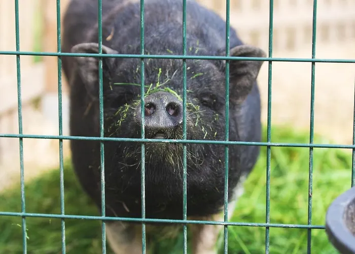 Elegante A Ottonville Avec Piscine Privee. Vila